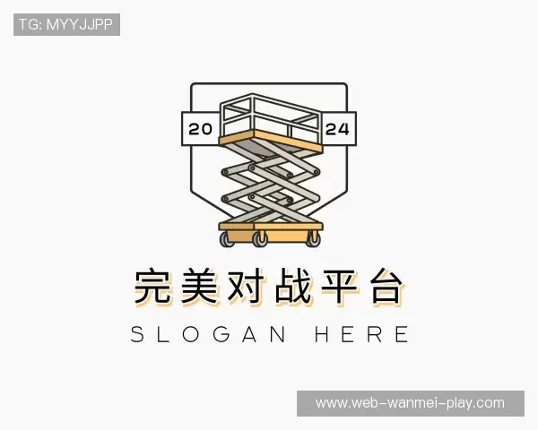 解读完美对战平台